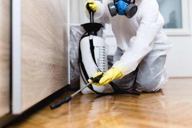 Best Affordable Pest Control Services  in Morgan Hill, CA